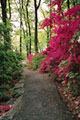 Jenkins Arboretum