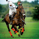 Brandywine Polo Club Season Opener