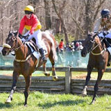 Brandywine Hills Point-to-Point Races