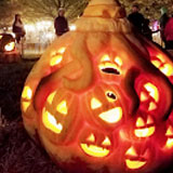 The Great Pumpkin Carve