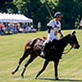 Annual Chester County Hospital Polo Cup