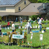 Delaware Nature Society's Native Plant Sale