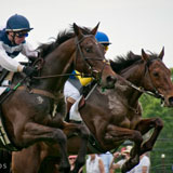 Winterthur Point-To-Point Steeplechase Races