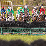 Willowdale Steeplechase