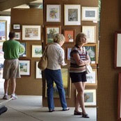 DFVA Greenville Fall Art Show
