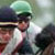 Winterthur Point-To-Point Steeplechase Races
